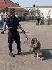 IJJ IASI ZIUA PORTILOR DESCHISE 2008 82